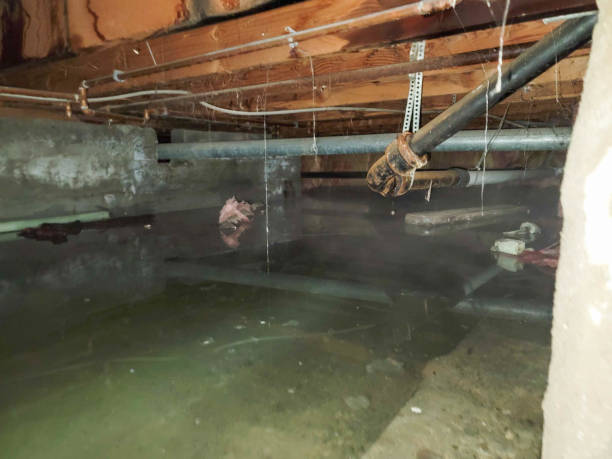 Best Fire Damage Restoration  in Lyons, KS