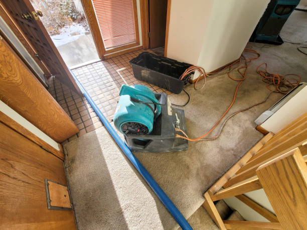 Best Water damage restoration company  in Lyons, KS