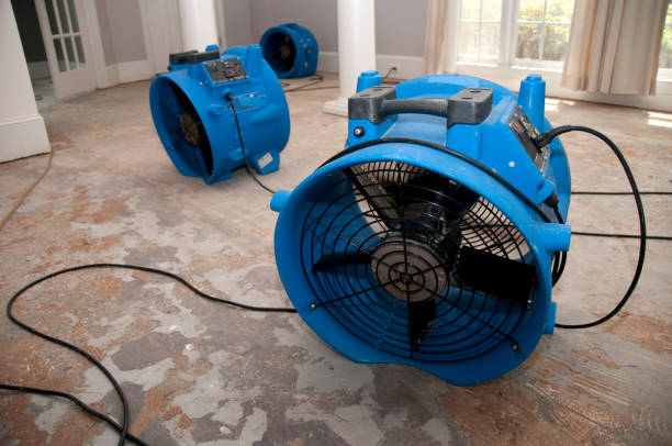 Best Basement water damage restoration  in Lyons, KS