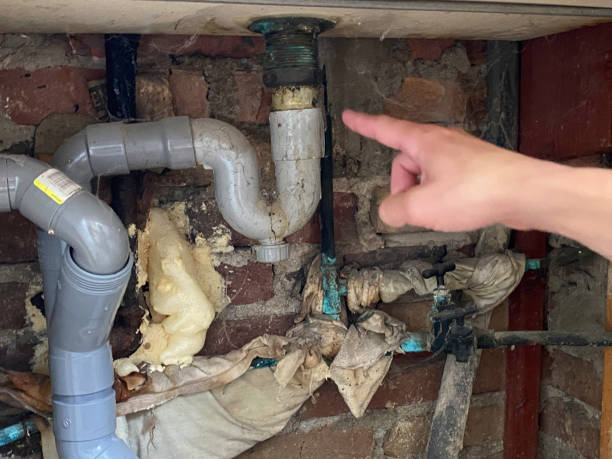 Best Flood damage cleanup  in Lyons, KS