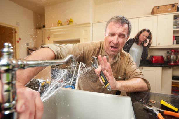 Best Flooded house restoration  in Lyons, KS